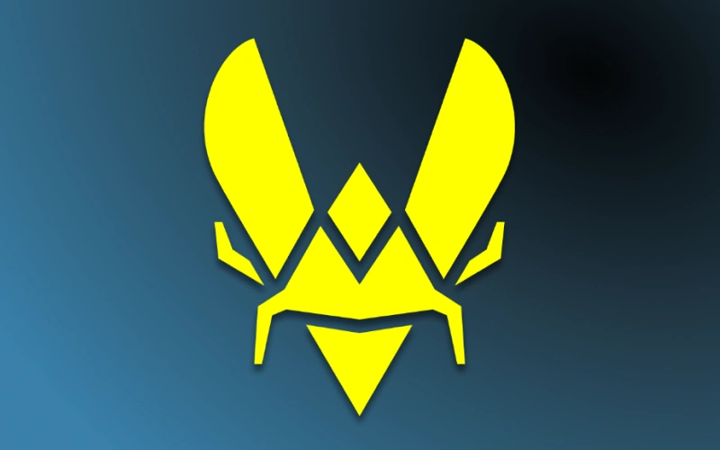Team Vitality organizes eSports competitions and collaborates with Stake.