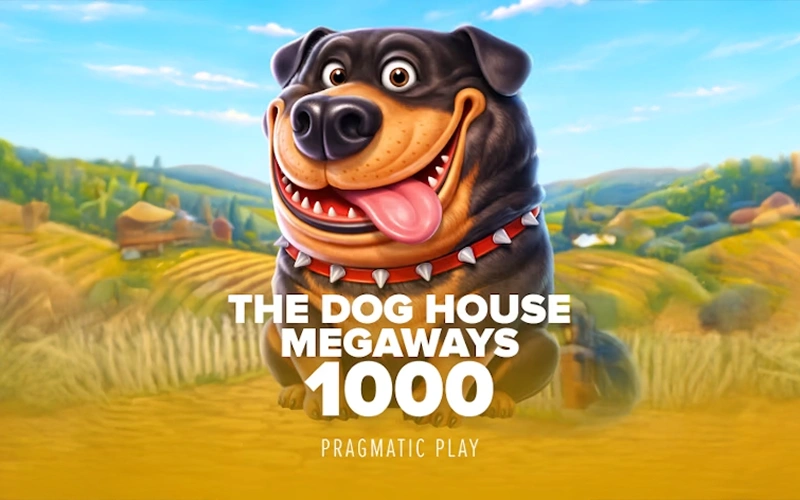 Enjoy playing The Dog House Megaways slot at Stake casino.