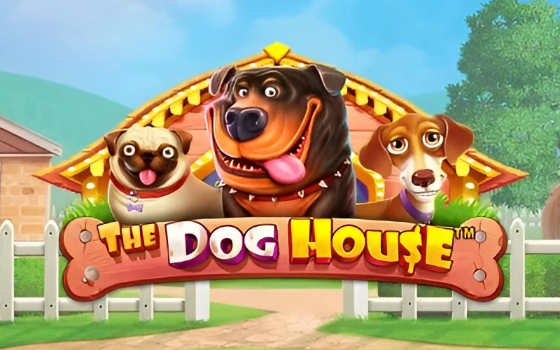 the dog house game